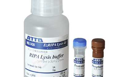WSE-7420 EzRIPA Lysis Kit