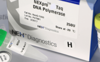 HS Taq DNA Polymerase