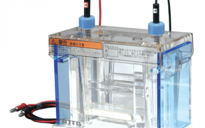 Mini-Slab Electrophoresis System