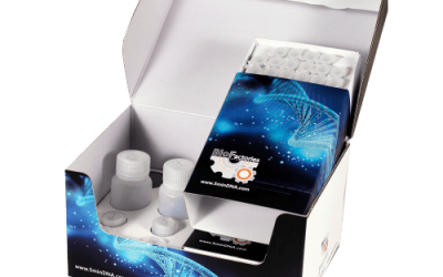 5min DNA Extraction Kit