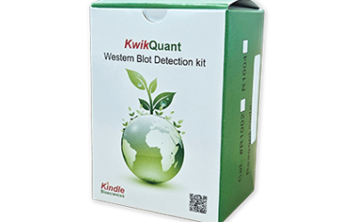 Ultra Digital-ECL Substrate Solution