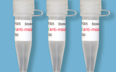 DIGITAL ANTI-MOUSE-HRP