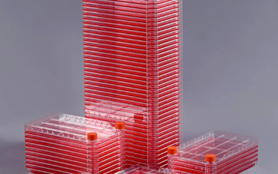 Layer Untreated Cell Factory