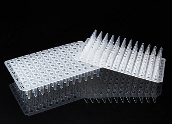 PCR Plate