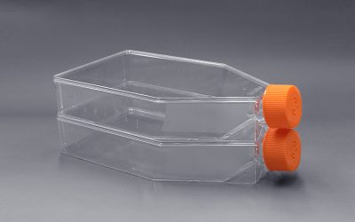 Cell Culture Flasks