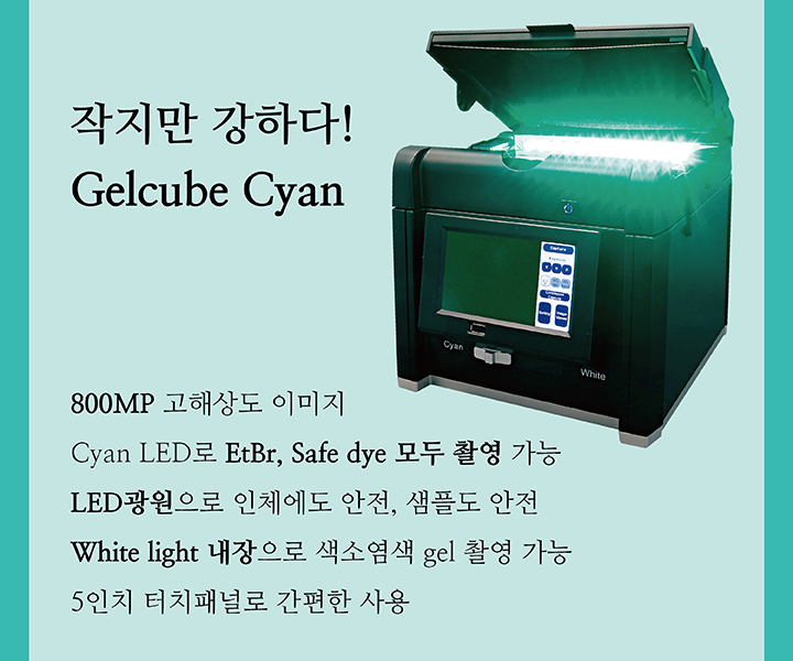 20240703_Gelcube-cyan_03.png