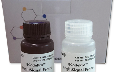 BCodePro™ BrightSignal mid-Femto ECL Solution