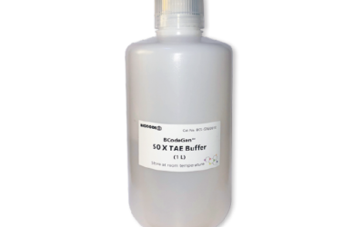 BCodeGen™ 50× TAE Buffer