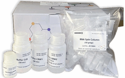 HiPurify DNA/RNA Mini Kit