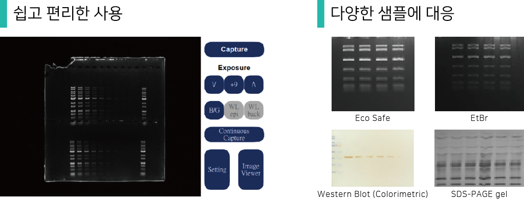 GelCube Cyan_application